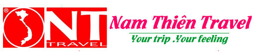 Logo Nam Thien