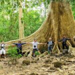 Creator: gd jpeg v1.0 (using ijg jpeg v80), quality = 82